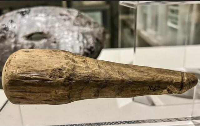 Dildo Purba ditemukan, Ukurannya Bikin Bingung