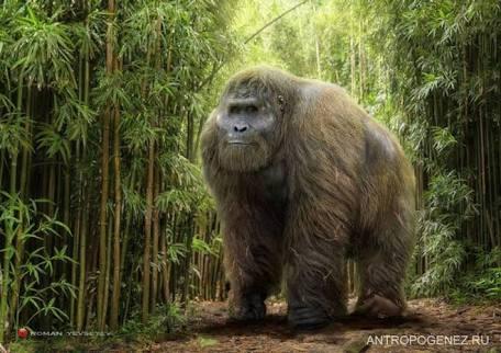 Top 20 Abnormally Large Animal That Really Exist