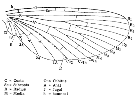 TeRXU.gif