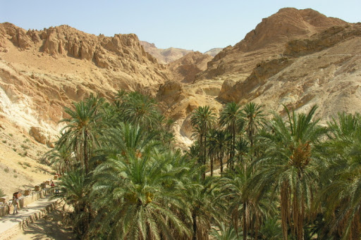 Chebika-oasis-2.jpg