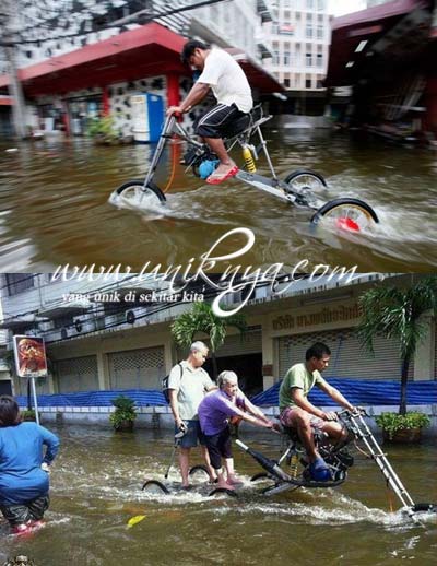 fec23.jpg