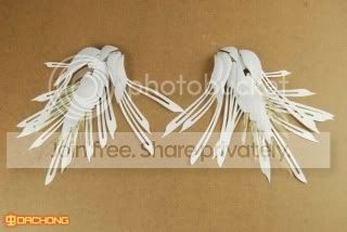 WING02.jpg