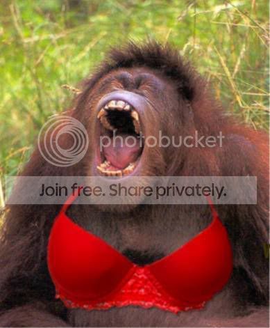 new_bra_model.jpg