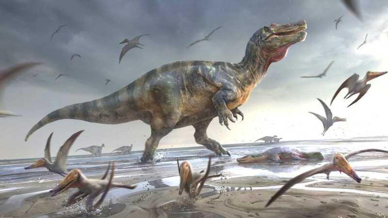 Mengapa di Indonesia Tidak Ada Fosil Dinosaurus?