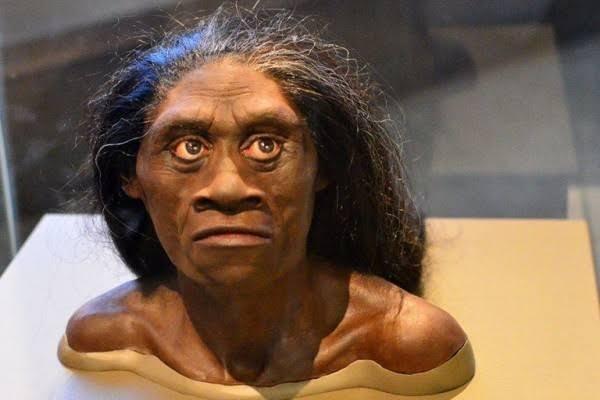 Ras Hobbit Di Indonesia, Apakah Masih Ada?