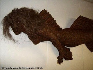 fiji+mermaid.jpg