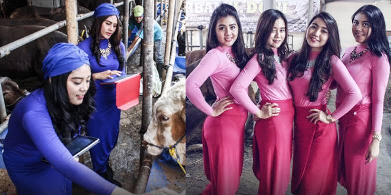 SPG Hewan Qurban, Cantik Dan Seksi