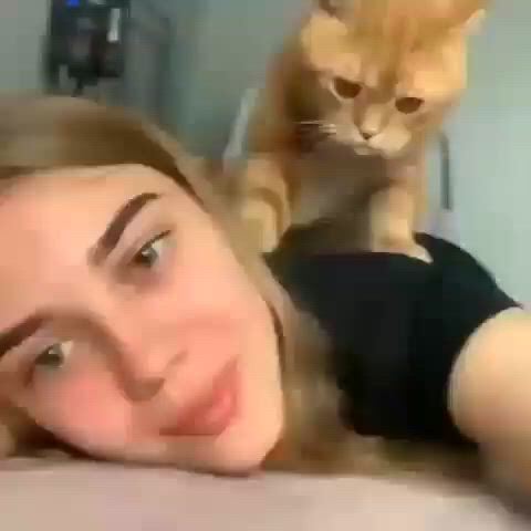 {thread_title}