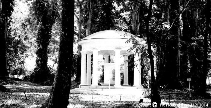 Kebun Raya Bogor, Kebun Raya Tertua di Dunia?