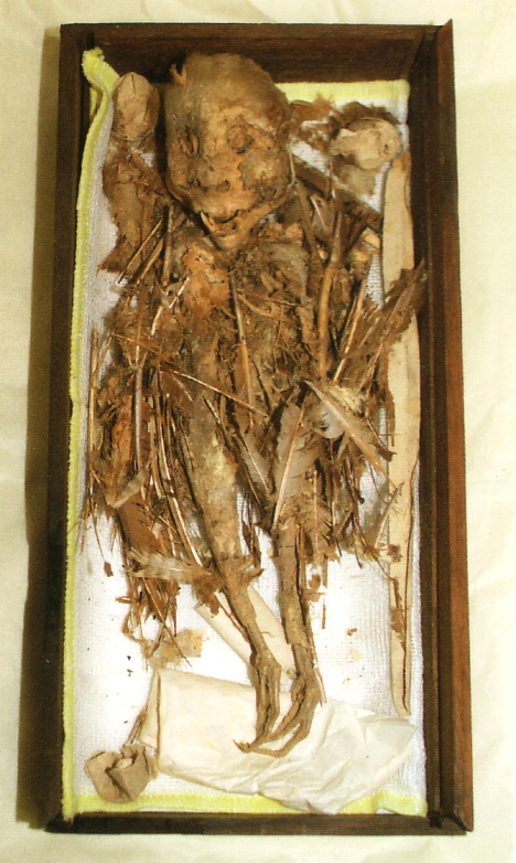 monster_mummy_4.jpg