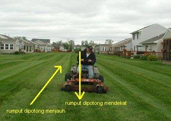 mowing.jpg