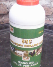 IMG0348A.jpg