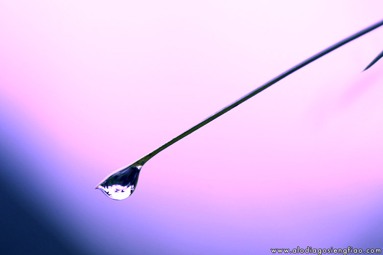 Droplet_by_blackmage9.jpg