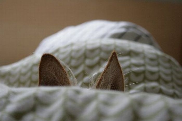 picdump_99_18.jpg