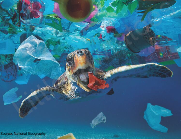Sampahmu Membunuhku! Mulai Gerakan Zero-Waste Sekarang!
