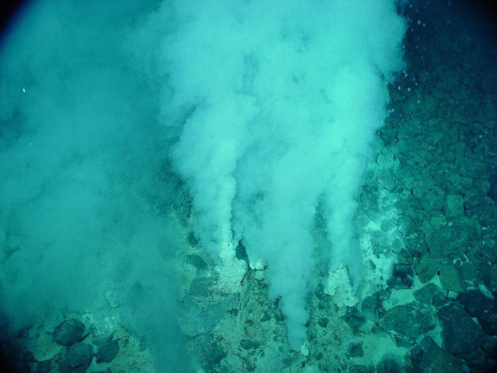 10 Fakta Tentang Palung Mariana 