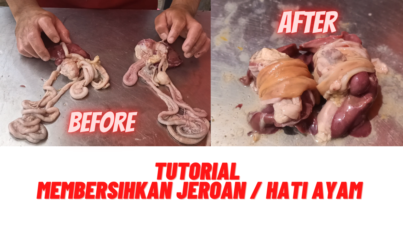 CARA (TUTORIAL) MEMBERSIHKAN HATI/AMPELA/JEROAN AYAM