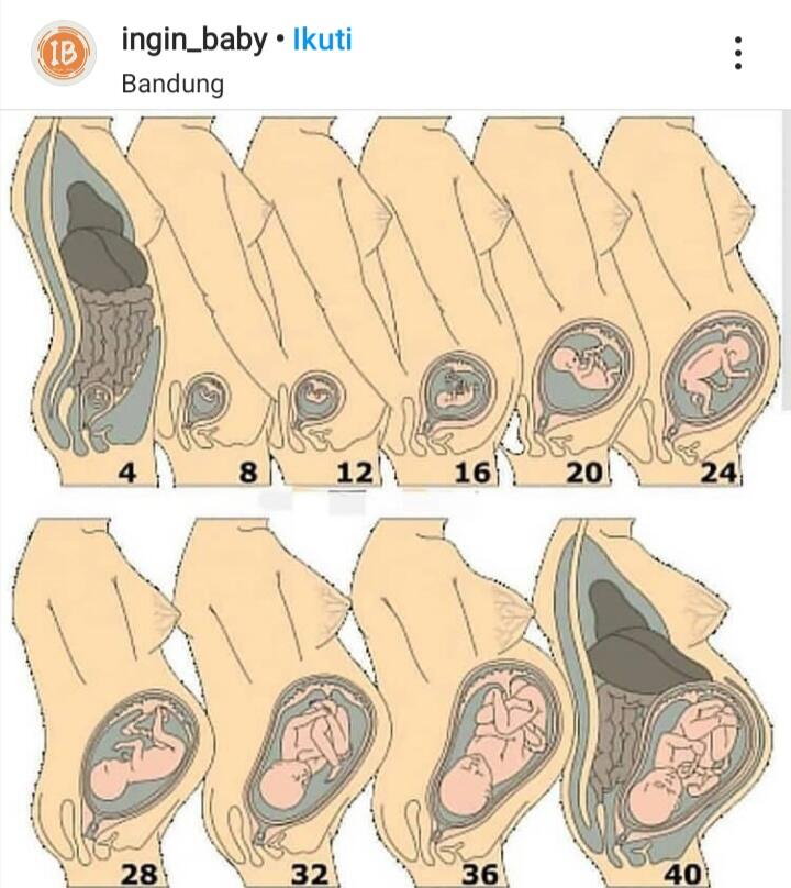 Beratnya Seorang Wanita Hamil, Benarkah Demikian?