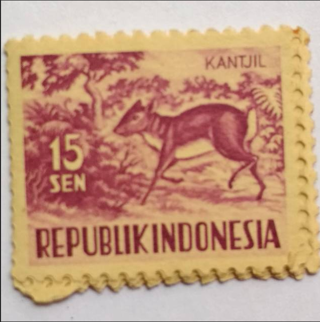 Yang jadul sering lebih menarik