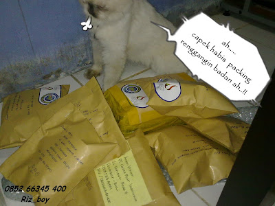 capek.jpg