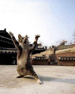 1.guru+kungfu.jpg