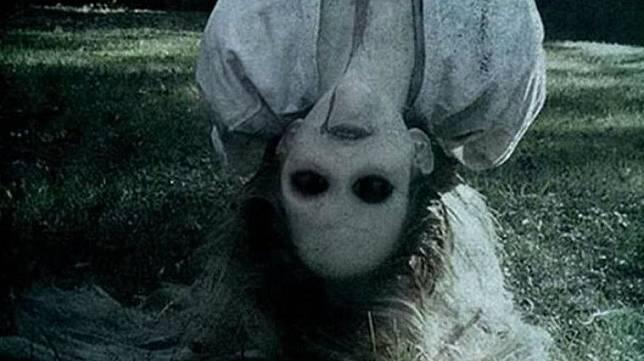 Pernah Mendengar Tawa Misterius Malam Hari? Ternyata Bukan Kuntilanak Tapi Hewan Ini