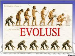 Manusia evolusi dari monyet, berarti nabi Adam??? 