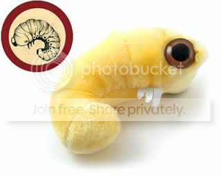 bacteria_bookworm.png