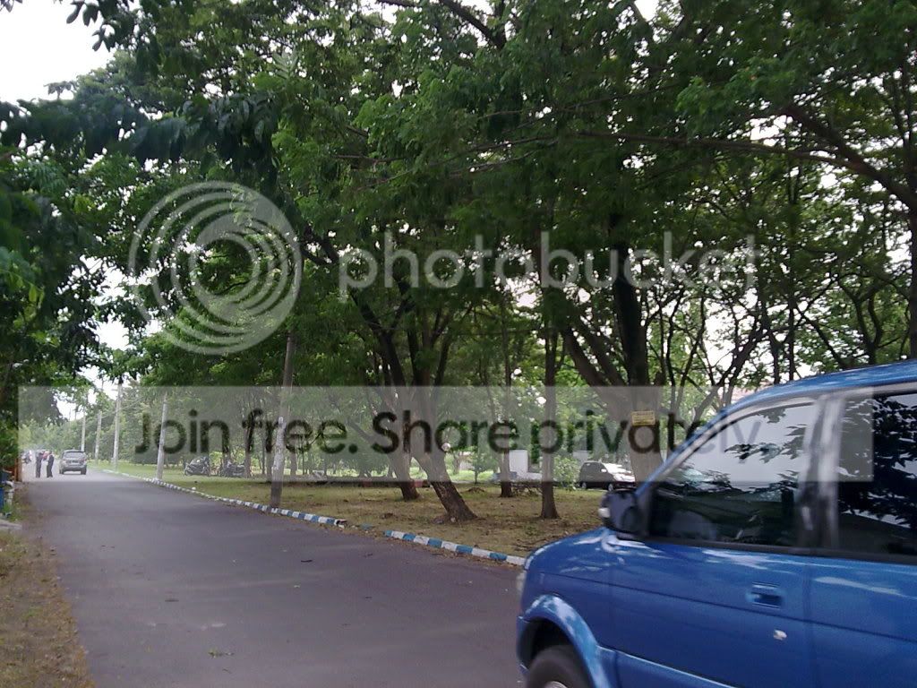 Picture139.jpg
