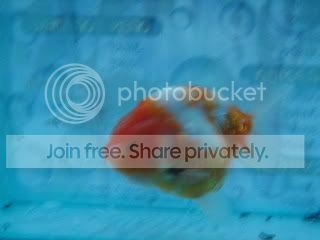 P5280027_resize_resize.jpg