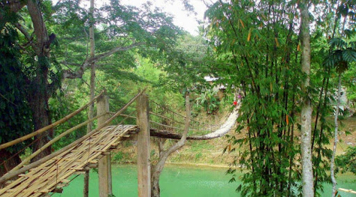 loboc1.jpg