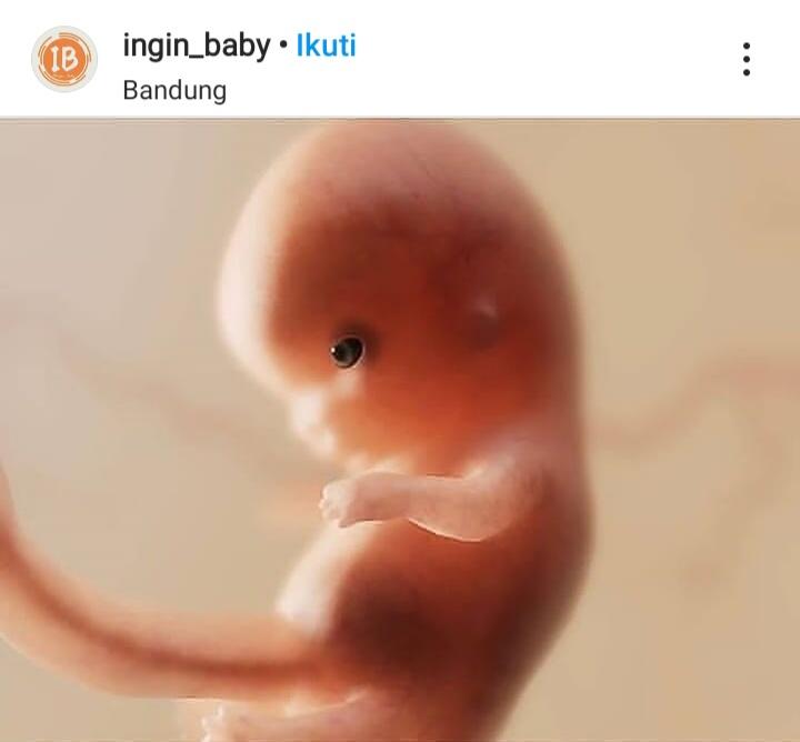 Beratnya Seorang Wanita Hamil, Benarkah Demikian?
