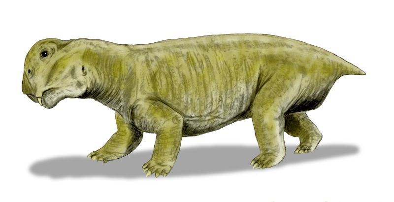 Lystrosaurus_BW.jpg