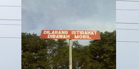 MkyUr.jpg