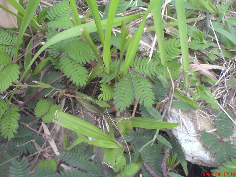 dsc011231.jpg