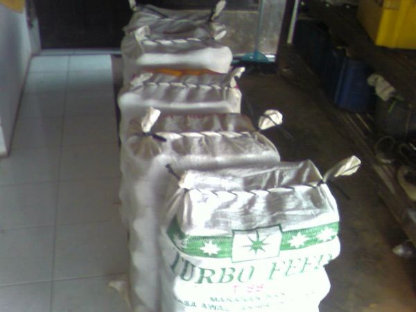 packing-2.jpg