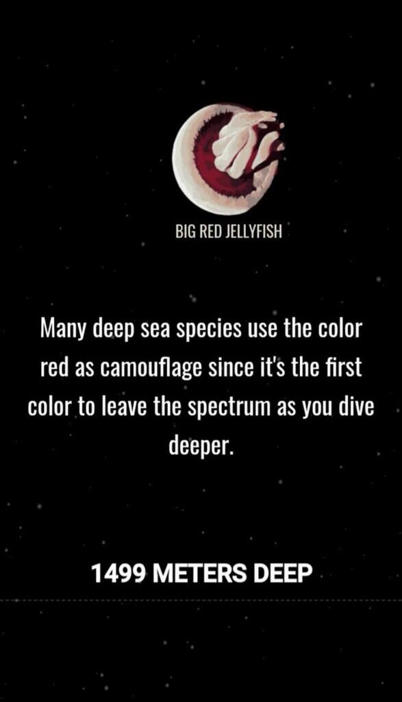 Ini Dia Ilustrasi Dalamnya Laut yg Begitu Menyeramkan [Warning : Sangat Dalam]