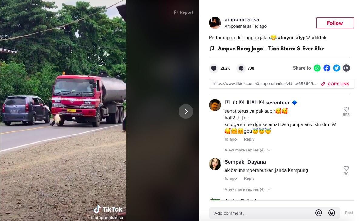 Aksi Seru!! Ayam Tarung Ditengah Jalan, Malah Bikin Macet