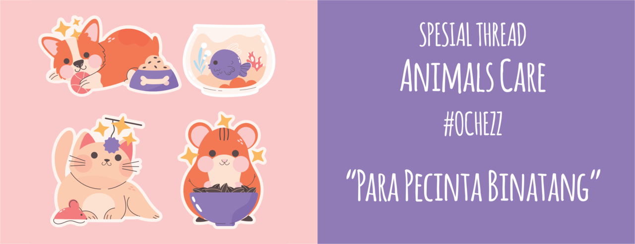 Kenali Panleukopenia Pada Kucing & Cara Mengatasinya