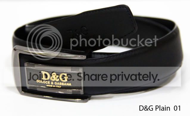 DGPlain01.jpg
