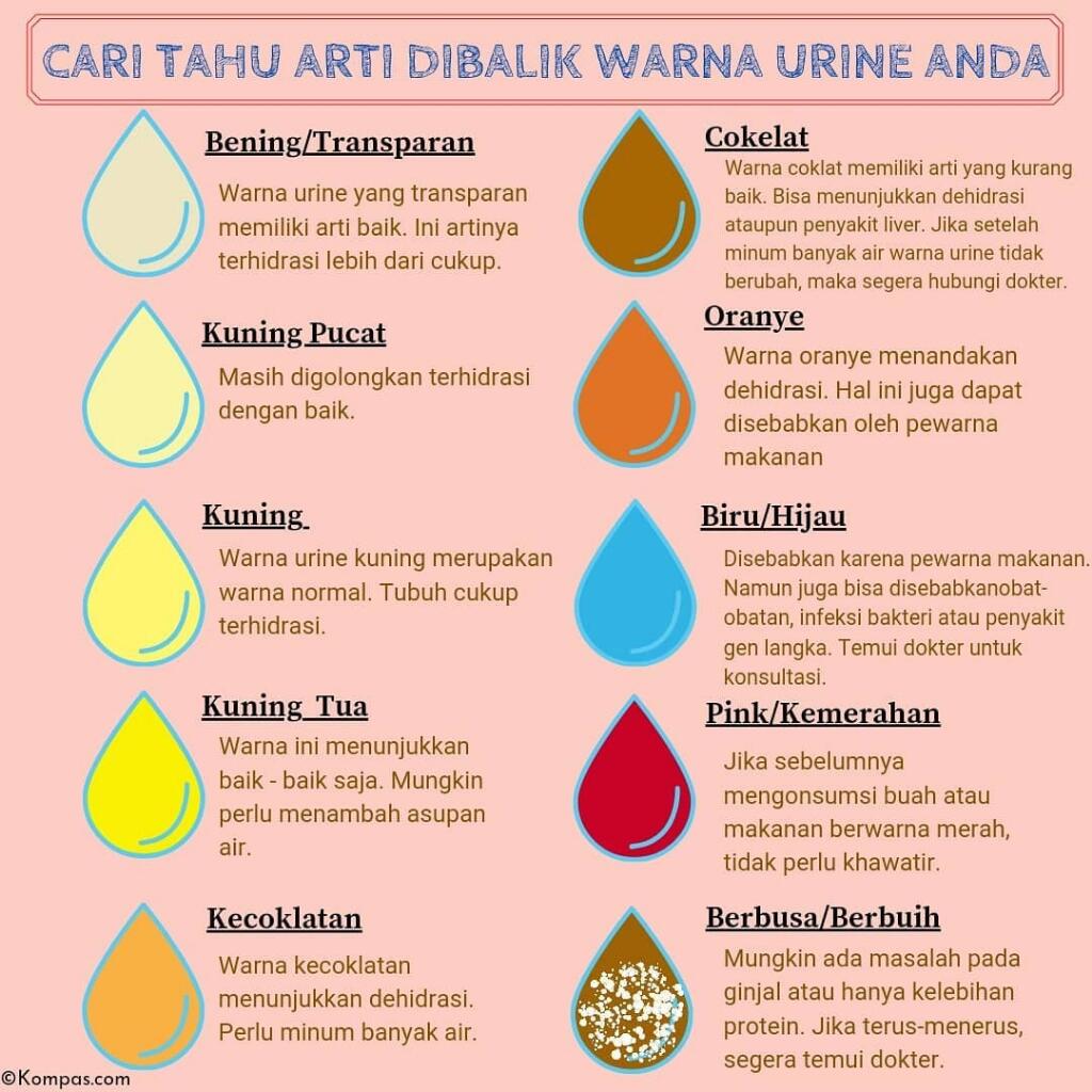 Apa Warna Urine Anda Hari Ini?