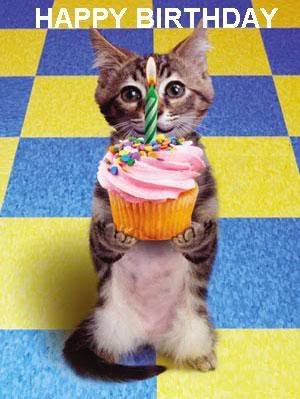 cat+birthday.bmp