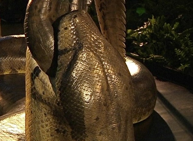 910B.jpg