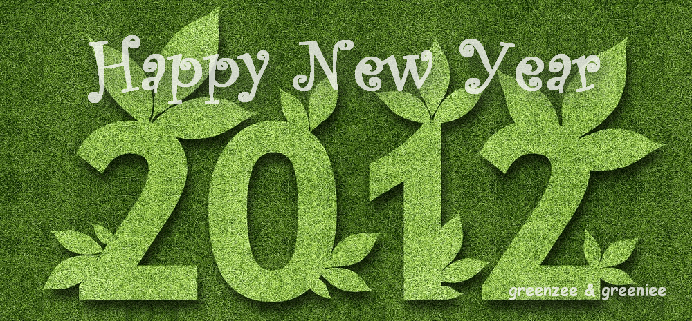 2011-12-31_121153.png