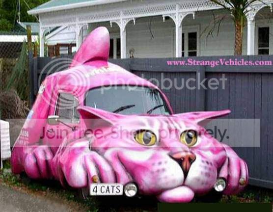 funny-cat-car-mobile.jpg