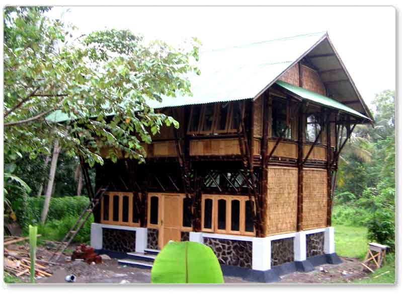 n1u5.jpg