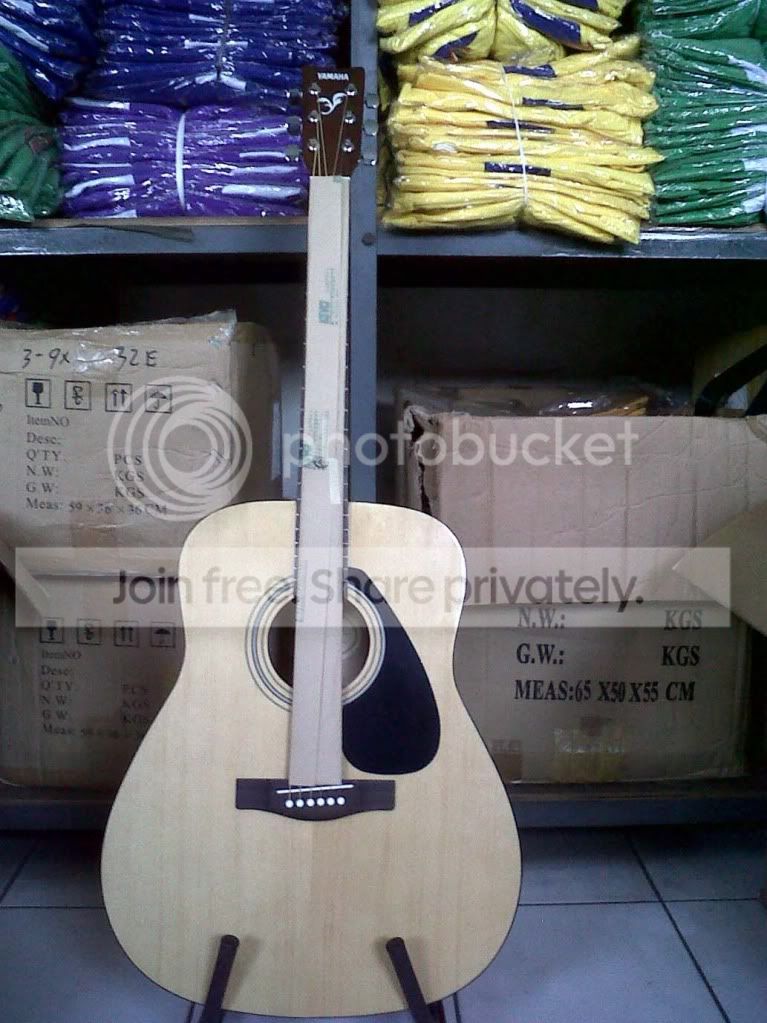 YAMAHAASLIF310.jpg