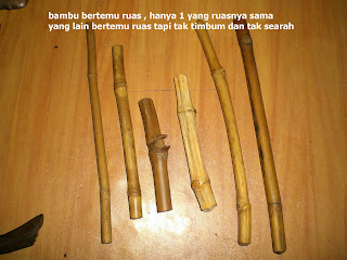 qCIMG0019.JPG