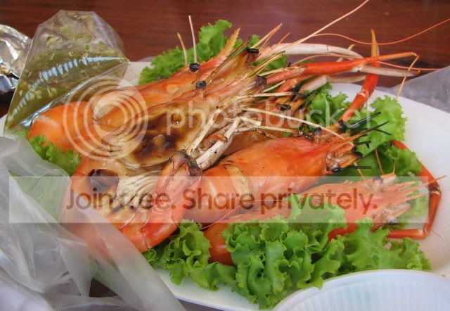 udang.jpg