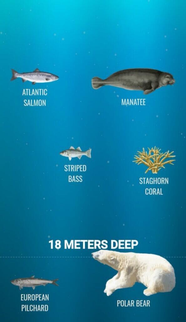 Ini Dia Ilustrasi Dalamnya Laut yg Begitu Menyeramkan [Warning : Sangat Dalam]